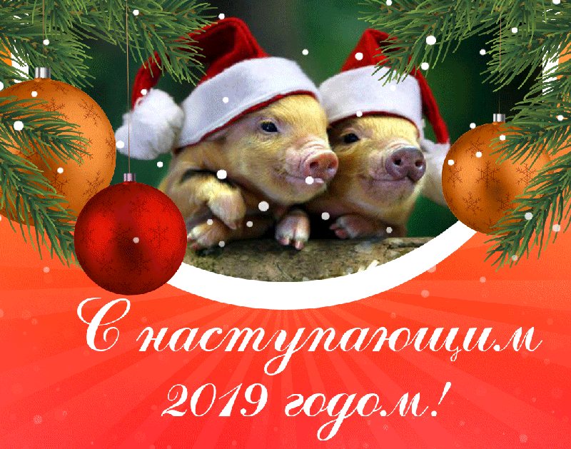 Дорогие друзья  - Поздравляем Вас с НОВЫМ 2019 ГОДОМ!!!