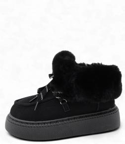 zx19-1 Panda