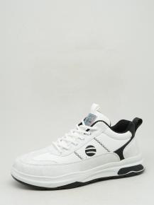 5113-5 Bebony