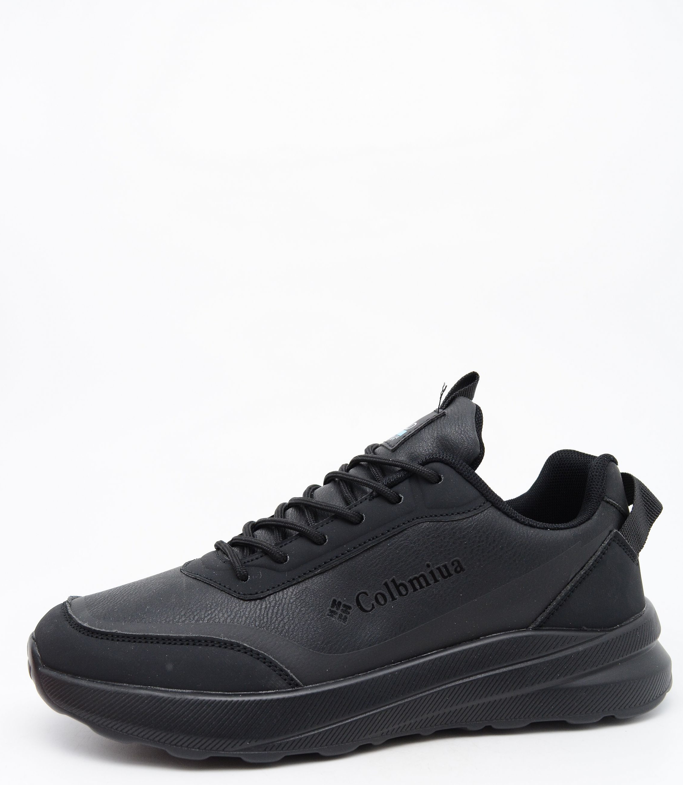 lr005-1 Peng Suo