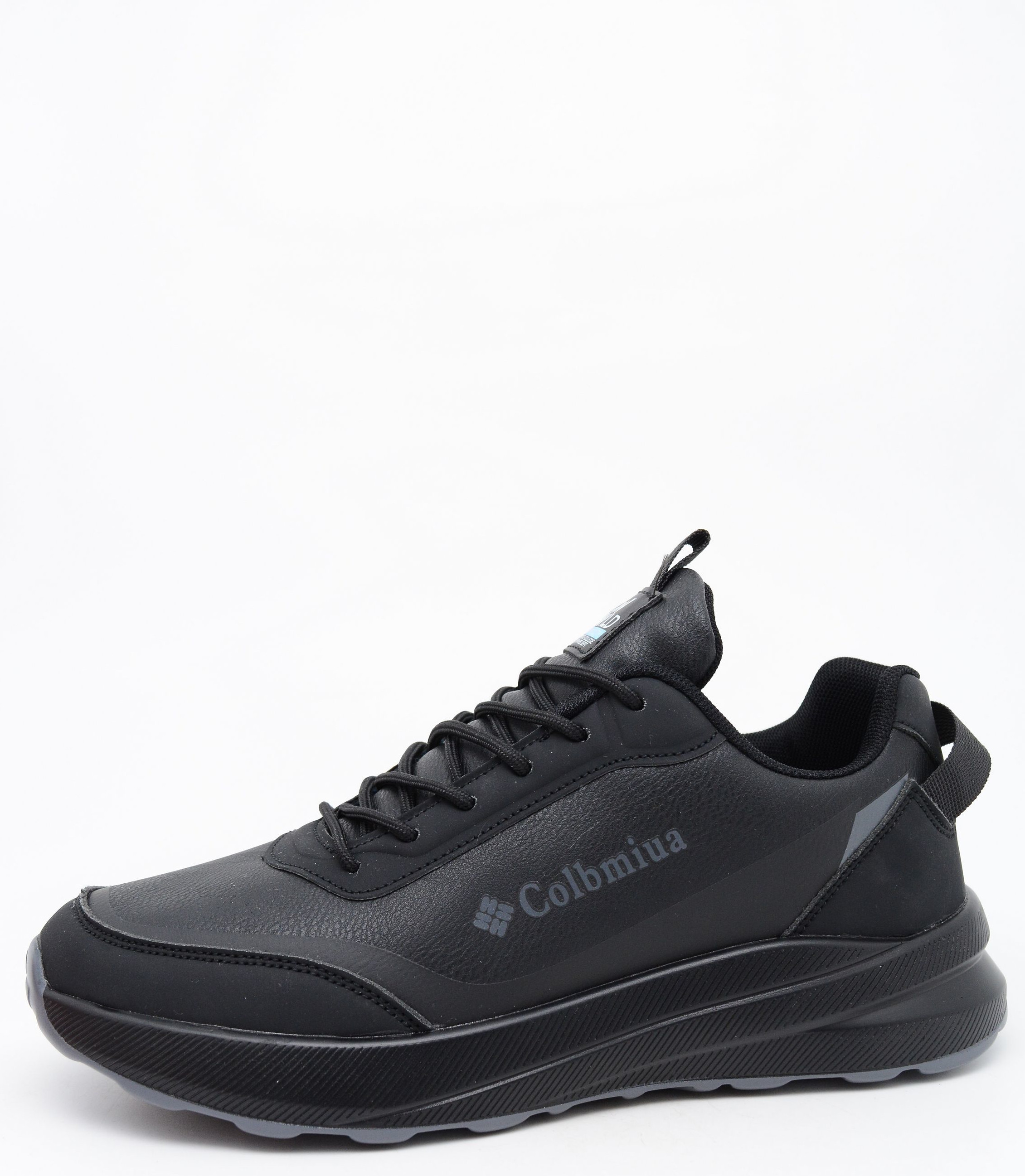 lr005-2 Peng Suo