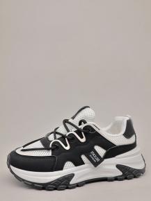 cy53-2 Romantic (2130)