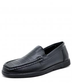 d691-2 Леопард