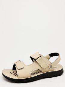 t817-5 Aima