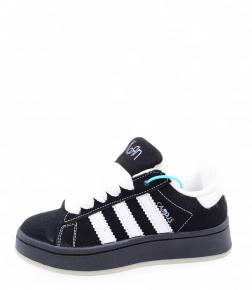 c2403-1 Nasite
