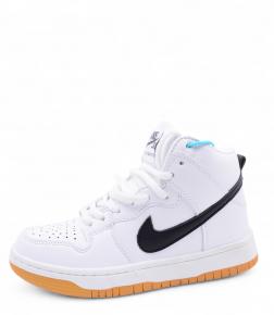 c2343-16 Nasite