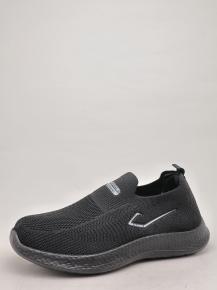 172-1 Sport (2041)