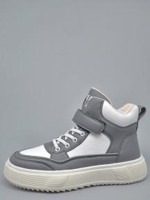 a3368-5-37 Paliament