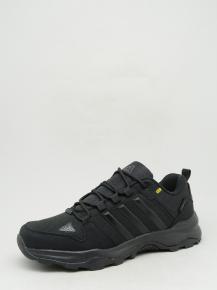 2222-1 Bebony