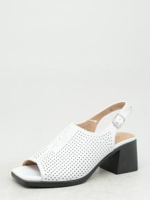 d7661-1 LNSFY