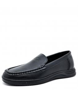 5691-2 Леопард