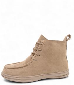 f069-2 Annibeila