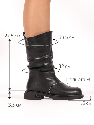 BT1543-1DM (3)