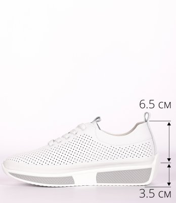 LQ69-2DM (11)