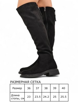 BT1118-2 (4)