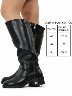 BT1156-2DM (4)