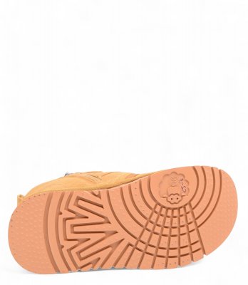 36 3