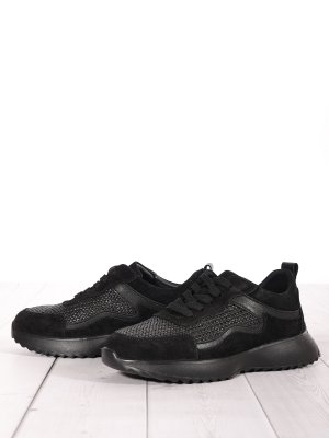 LQ241-2 (5)