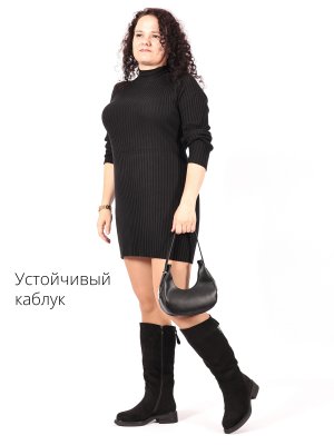 BT1557-2DM (9)