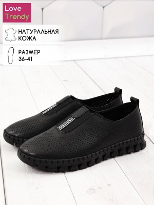 LQ99-1 (1)
