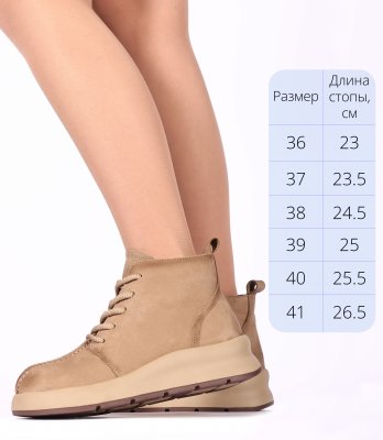CT511-4P (3)