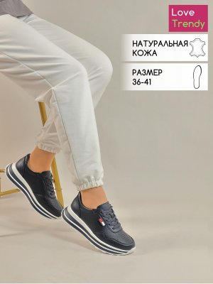 LQ153-2 (1)