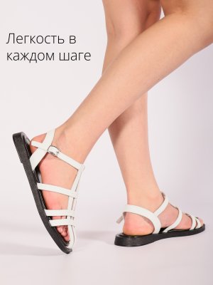 LQ252-1 (11)