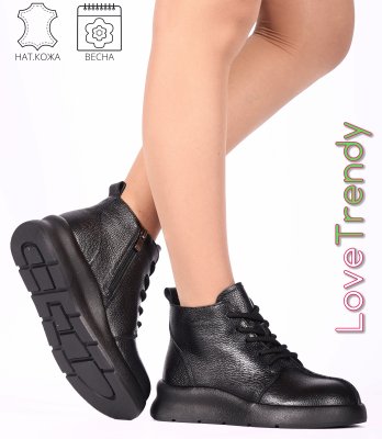 CT511-1P (1)