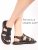 LQ255-2 (11)