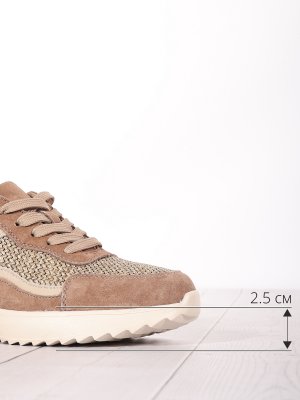 LQ241-1 (4)