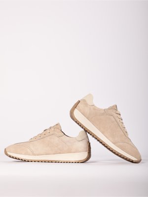 LQ203-5 (19)