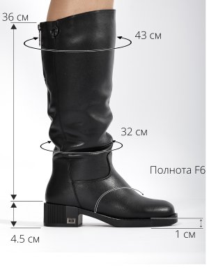 BT1155-2DM (3)