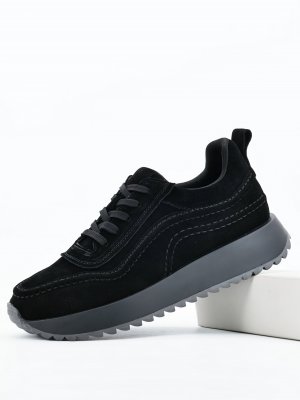 LQ179-1DM (2)