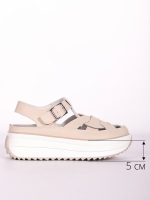 LQ109-6 (12)
