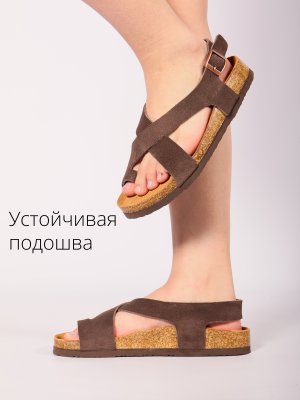 LQ247-3 (10)
