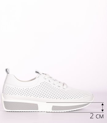 LQ66-2XM (10)