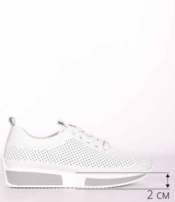 LQ66-2XM (10)