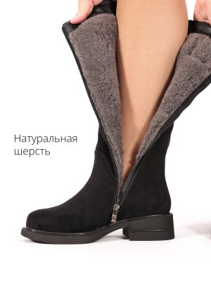 BT1557-2DM (5)