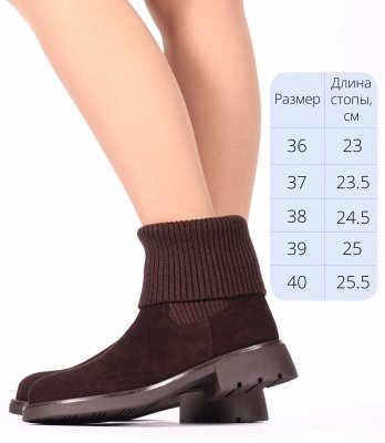 CT491-2 (3)