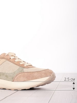 LQ238-1 (4)