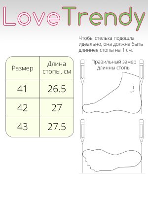 BT1545-2DM (12)