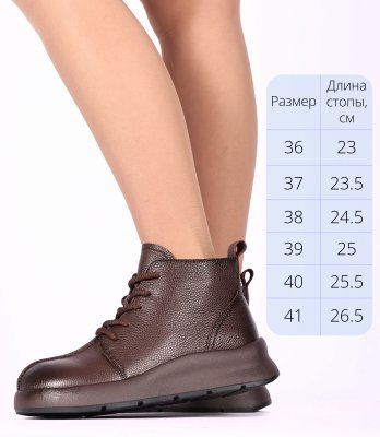 CT511-2P (3)