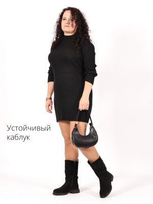 BT1543-2DM (9)