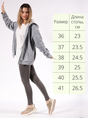 LQ231-1 (2)