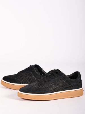 LQ224-1 (20)