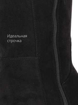 BT1546-2DM (8)