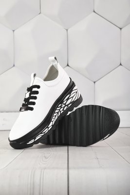 LQ77-2 (9)