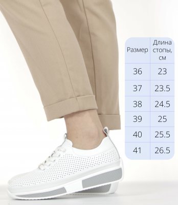 LQ66-2XM (3)