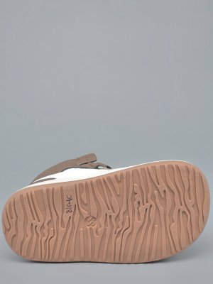 50 3