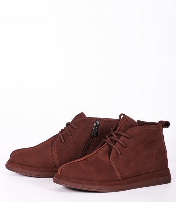 CT512-3P (9)